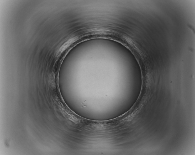 X0000100870970200806271109