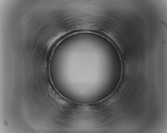 X0000100870971200806271109