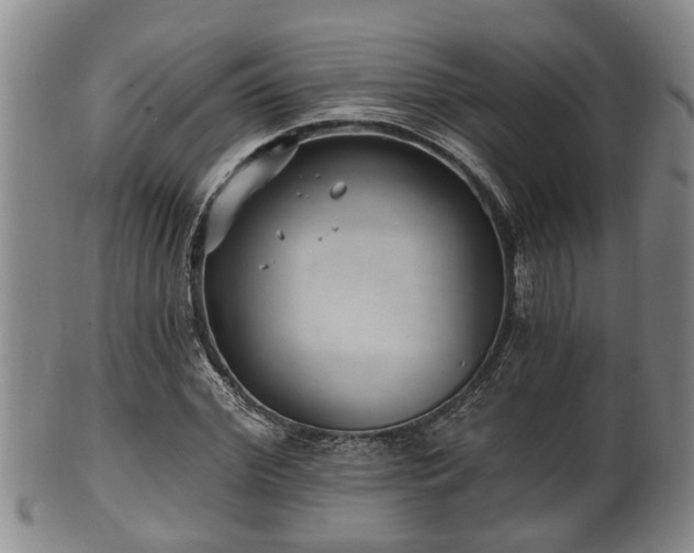 X0000100870972200806271109