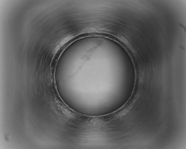 X0000100870974200806271109