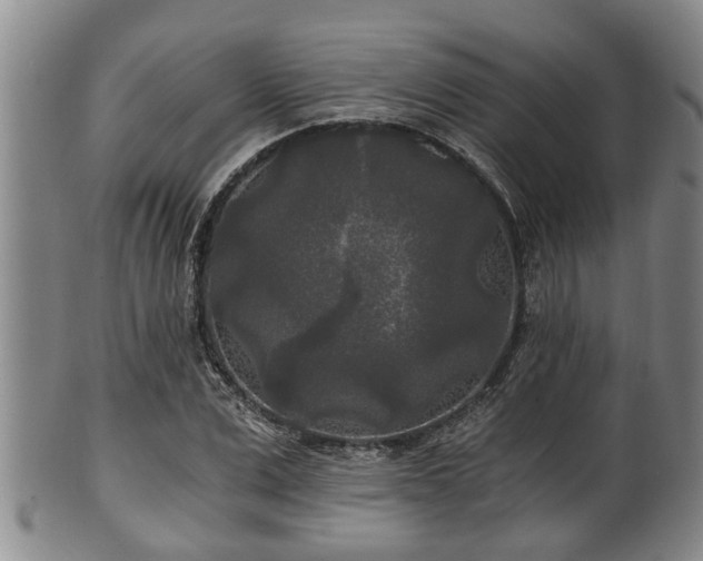 X0000100870975200806271109