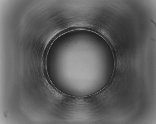 X0000100870976200806271109