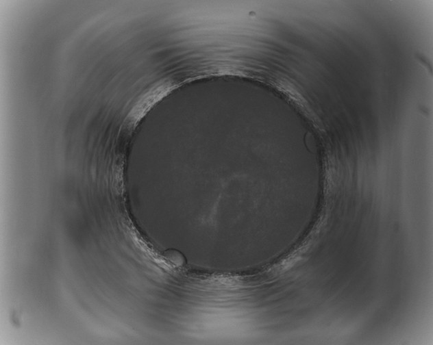 X0000100870977200806271109