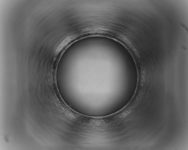 X0000100870978200806271109