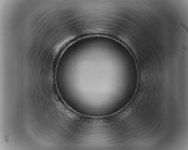 X0000100870979200806271109