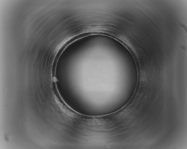 X0000100870980200806271109