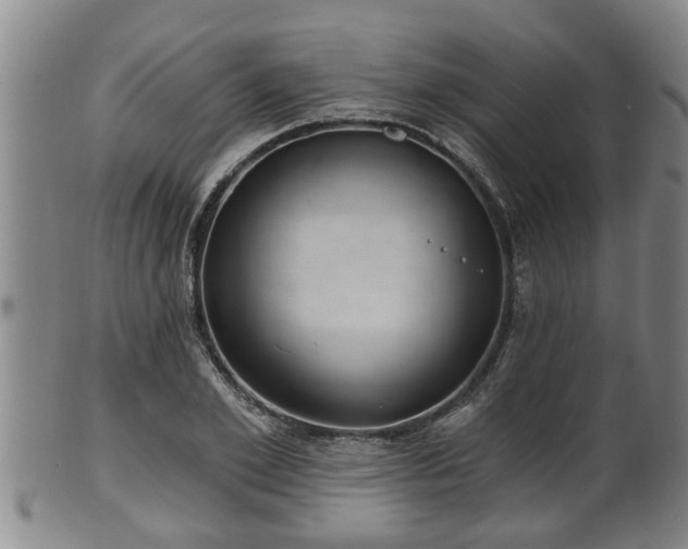 X0000100870981200806271108