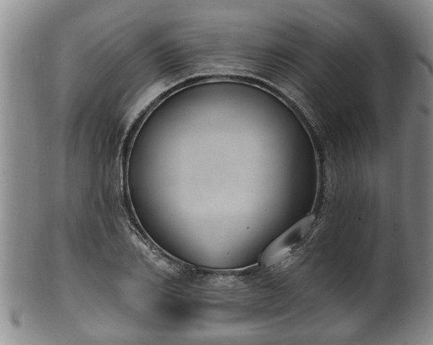 X0000100870982200806271108