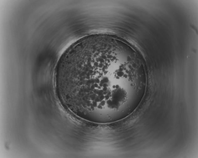 X0000100870983200806271108