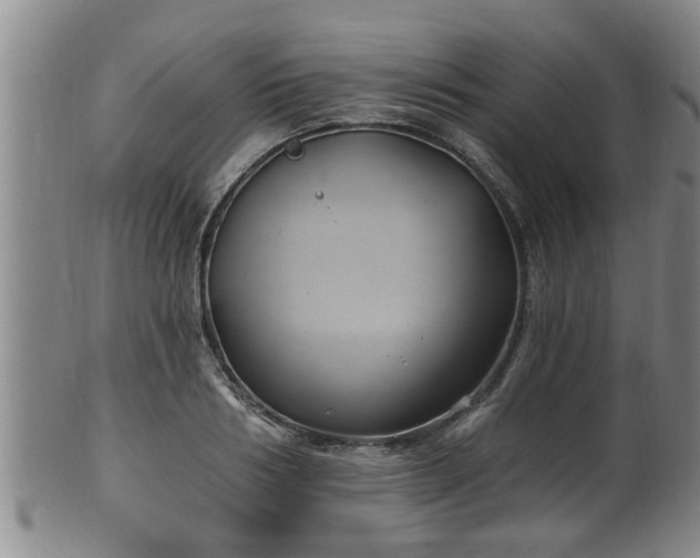 X0000100870986200806271108