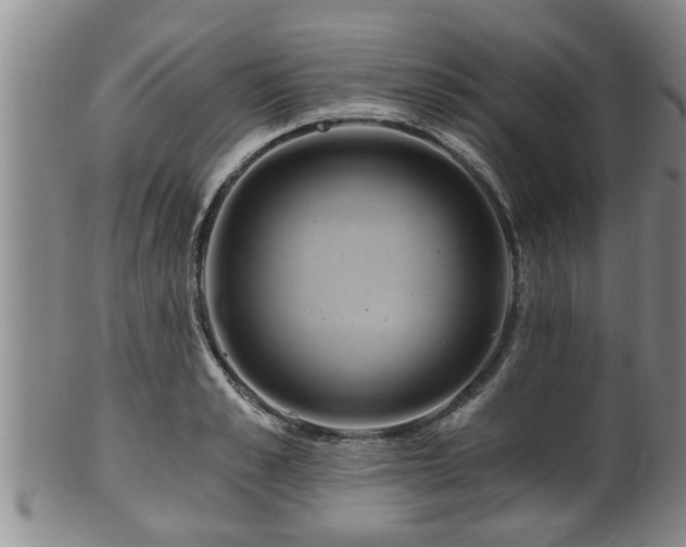 X0000100870989200806271108