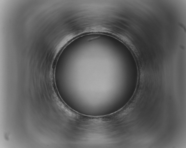 X0000100870990200806271108