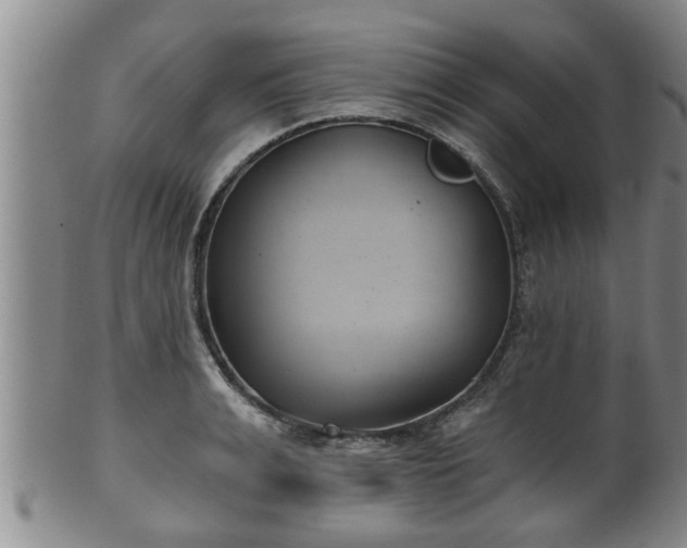 X0000100870991200806271108