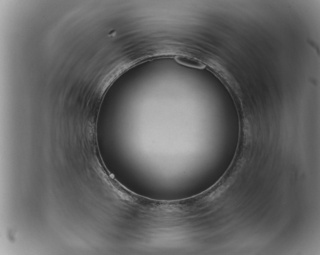 X0000100870993200806271108