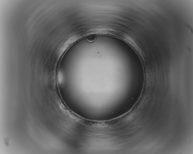 X0000100870994200806271108