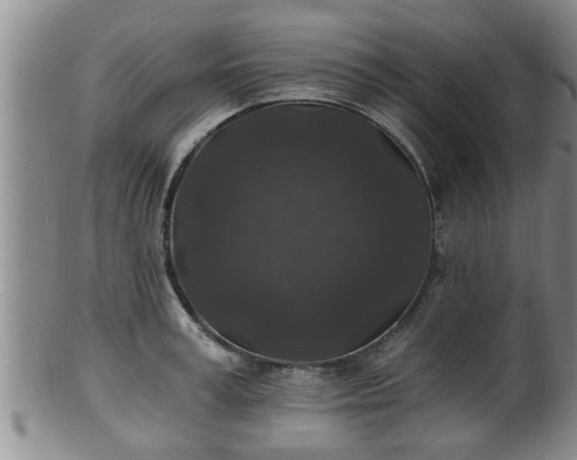 X0000100870995200806271108