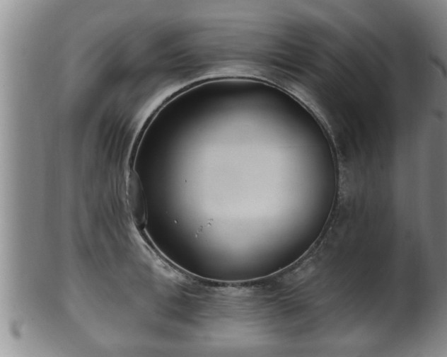 X0000100870996200806271108