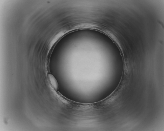 X0000100870997200806271108