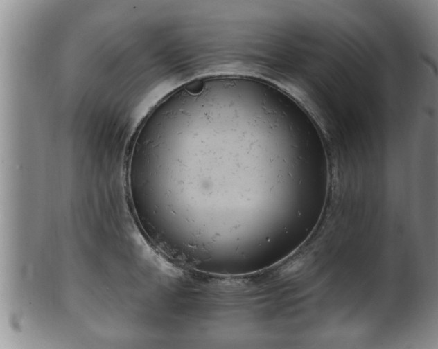 X0000100870998200806271108