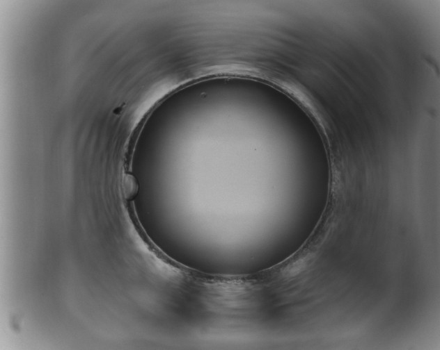 X0000100870999200806271108