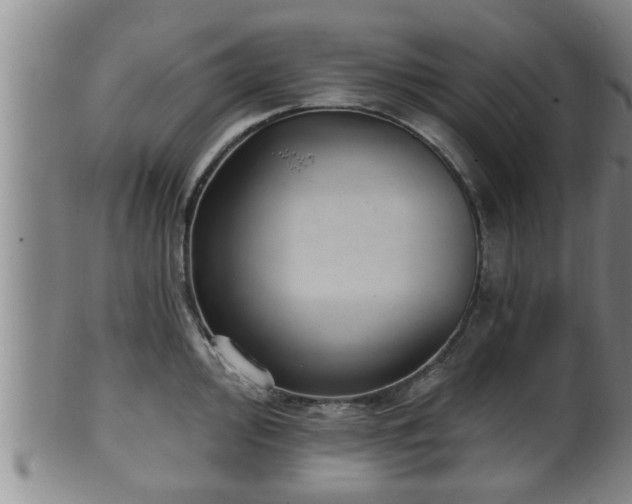 X0000100871000200806271108