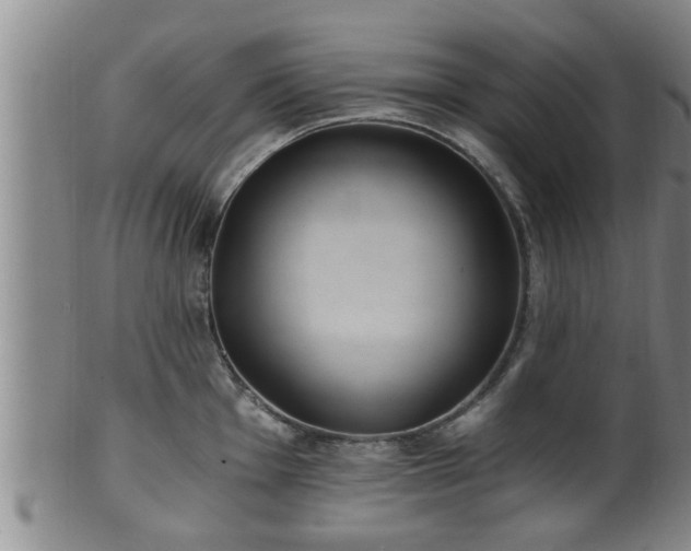 X0000100871001200806271108