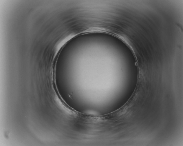 X0000100871003200806271108