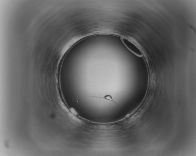 X0000100871005200806271108