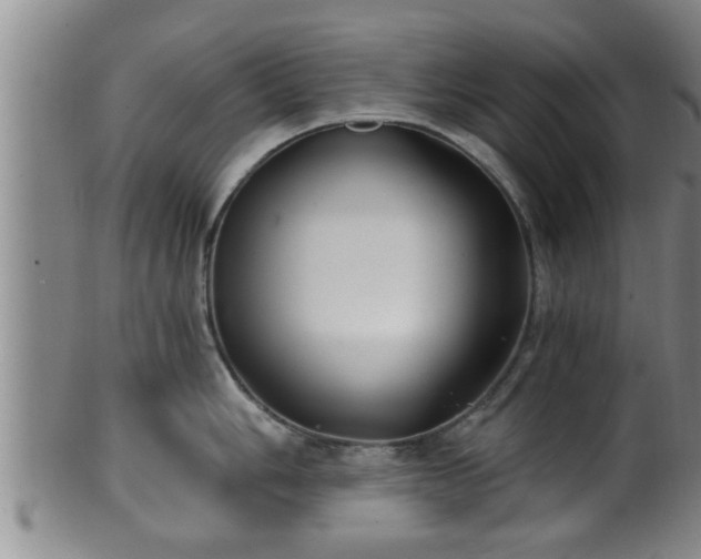 X0000100871006200806271108