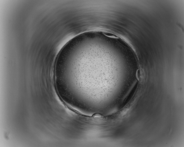 X0000100871007200806271108