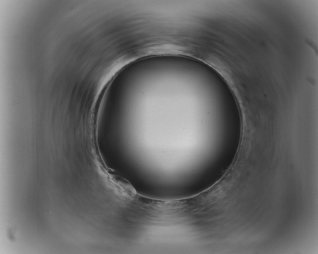 X0000100871008200806271108