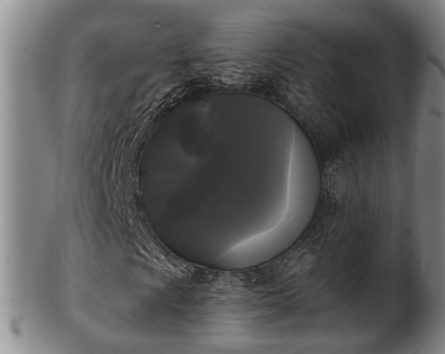 X0000100871009200806271107