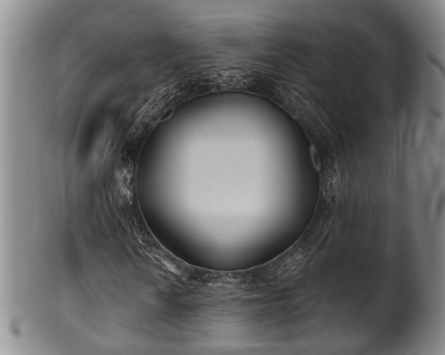 X0000100871010200806271107