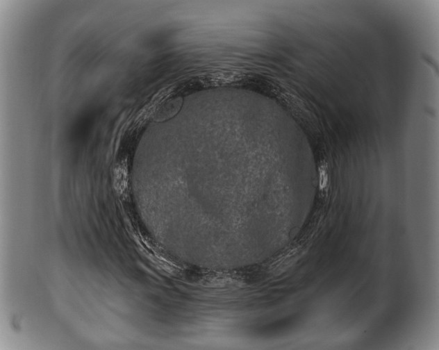 X0000100871011200806271107