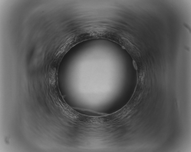 X0000100871012200806271107