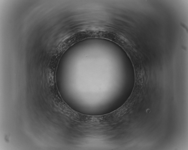 X0000100871013200806271107