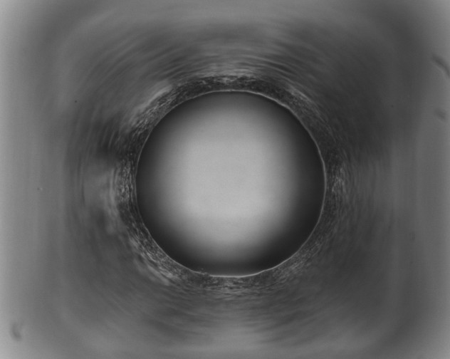 X0000100871014200806271107