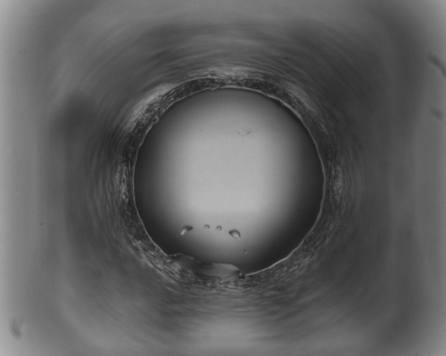 X0000100871016200806271107