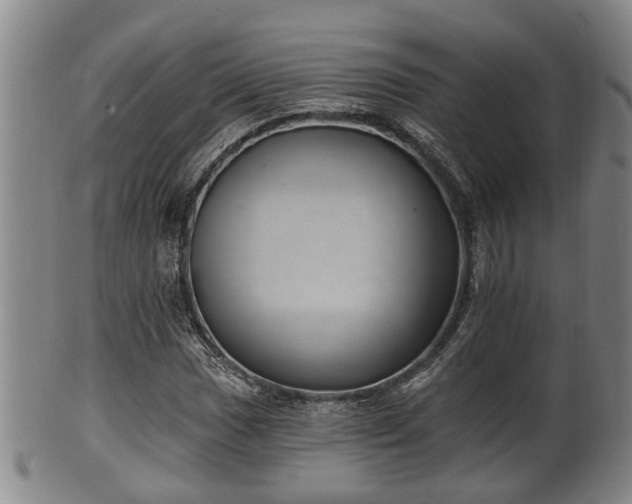 X0000100871017200806271107