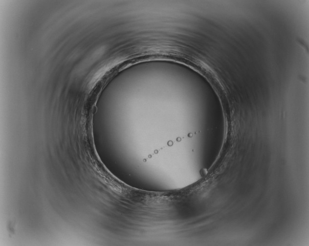 X0000100871019200806271107