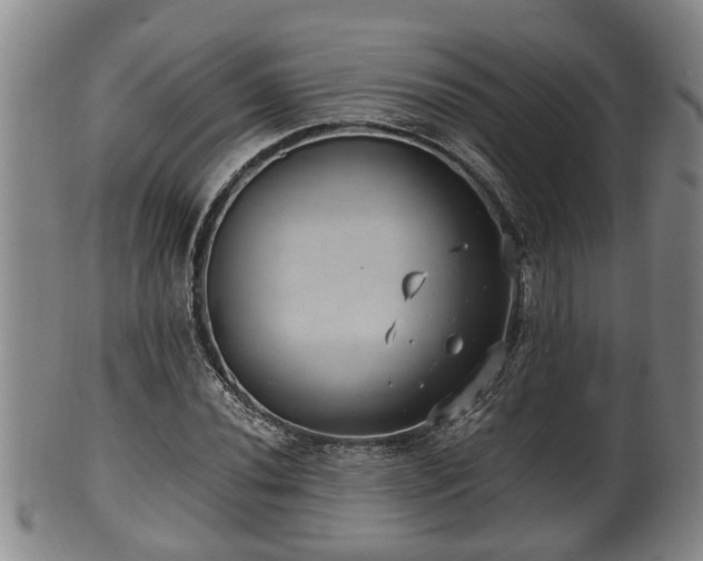 X0000100871020200806271107