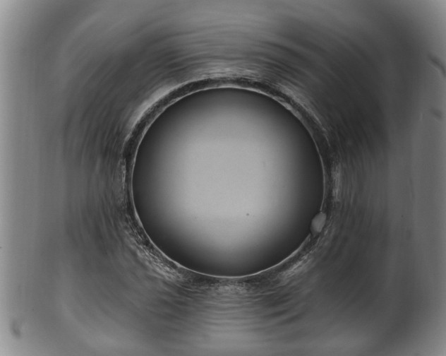 X0000100871021200806271107