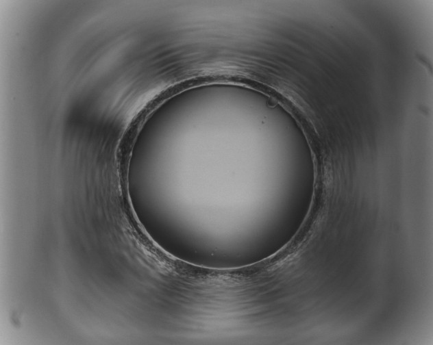 X0000100871022200806271107