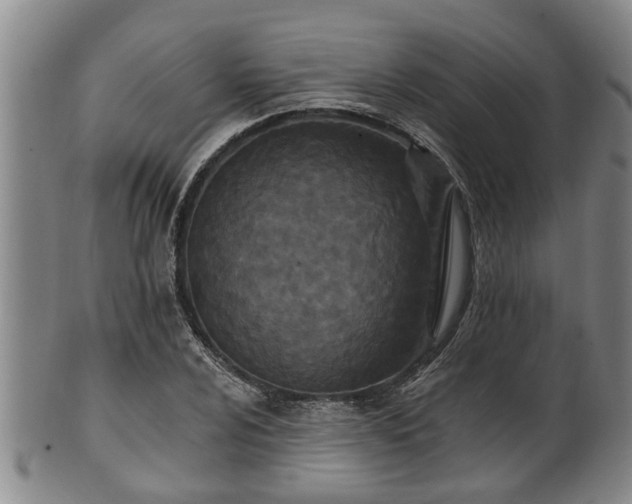 X0000100871024200806271107