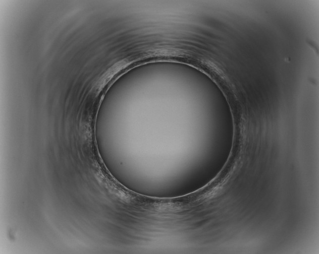 X0000100871025200806271107