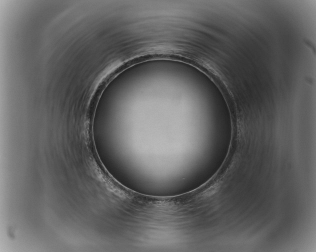 X0000100871029200806271108