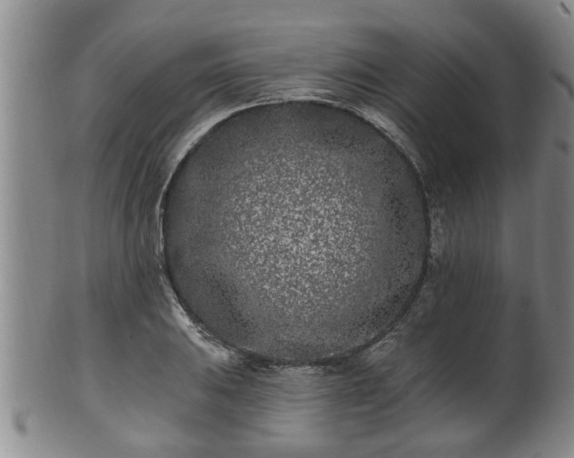 X0000100871031200806271108