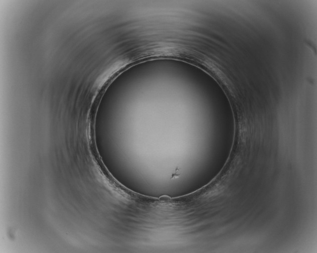 X0000100871034200806271108