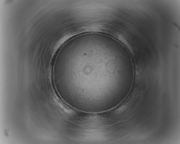 X0000100871035200806271108