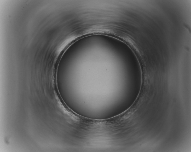 X0000100871038200806271108